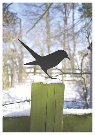 Postcard of metal garden bird seeking worm in snow by Jolyon Yates